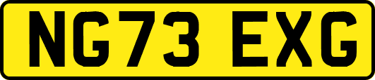 NG73EXG