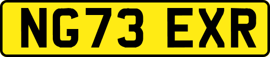 NG73EXR