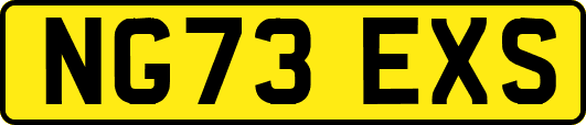 NG73EXS