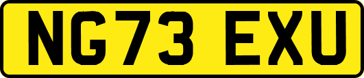 NG73EXU