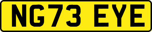 NG73EYE