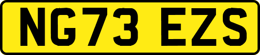 NG73EZS