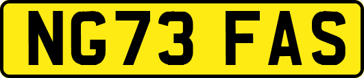 NG73FAS