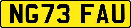 NG73FAU