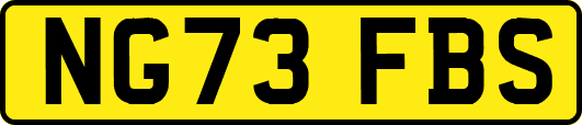 NG73FBS