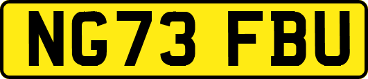 NG73FBU