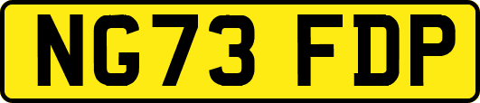 NG73FDP