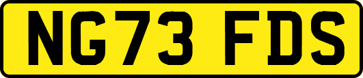 NG73FDS