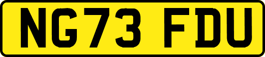 NG73FDU
