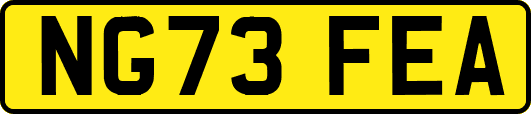 NG73FEA