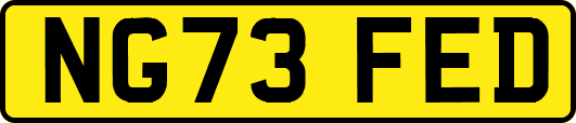 NG73FED