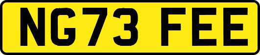 NG73FEE
