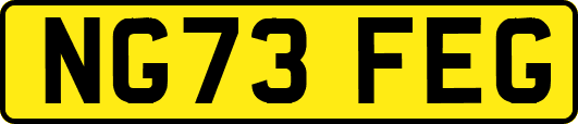 NG73FEG