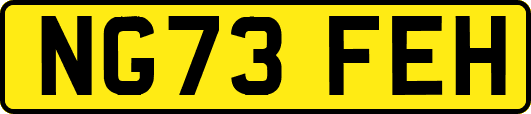NG73FEH