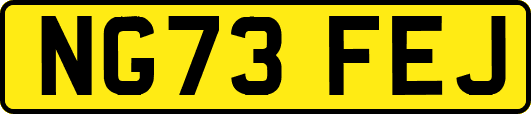 NG73FEJ