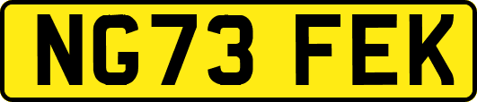 NG73FEK