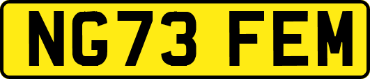 NG73FEM