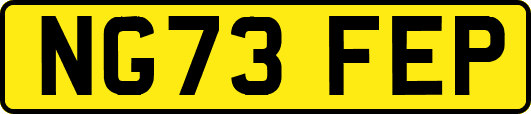 NG73FEP