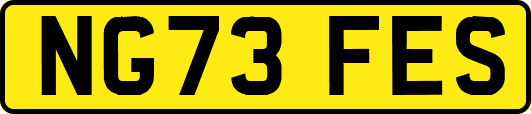 NG73FES