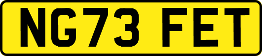 NG73FET
