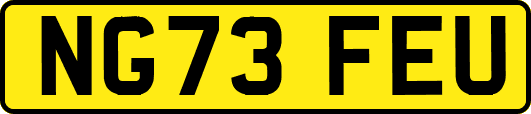 NG73FEU