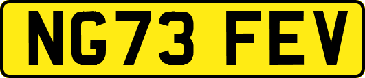 NG73FEV