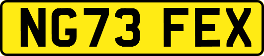 NG73FEX