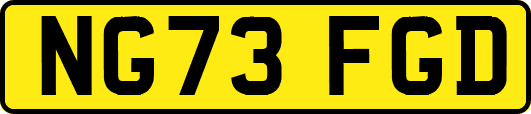 NG73FGD