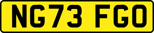 NG73FGO