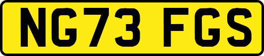 NG73FGS