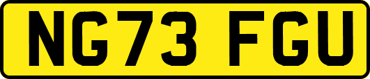 NG73FGU