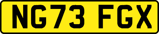 NG73FGX