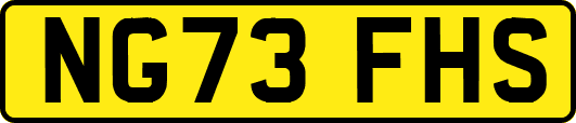 NG73FHS