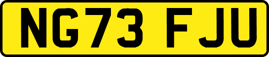 NG73FJU