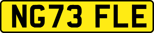 NG73FLE