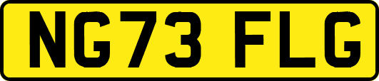 NG73FLG