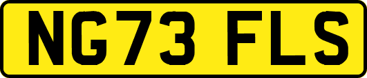 NG73FLS