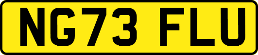 NG73FLU