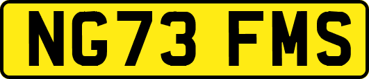 NG73FMS