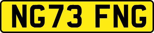 NG73FNG
