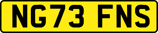 NG73FNS