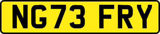 NG73FRY