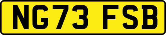 NG73FSB