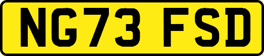 NG73FSD