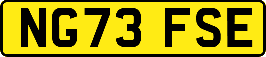 NG73FSE