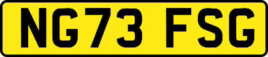 NG73FSG