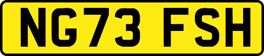 NG73FSH