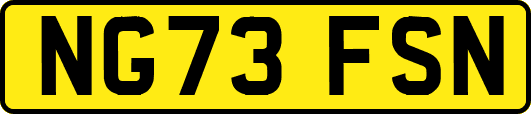 NG73FSN