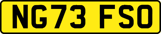 NG73FSO
