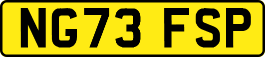 NG73FSP